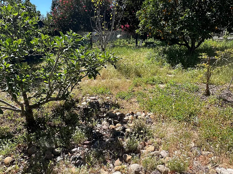 Grove where you can pick your own oranges and make fresh orange juice!