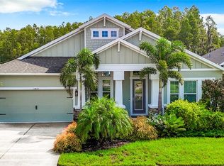 15419 Renaissance Ave, Odessa, FL 33556