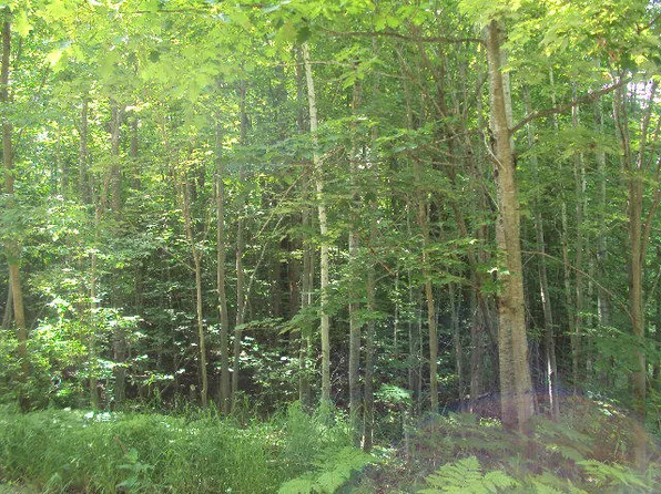 Munro Lake Circle Dr, Levering, MI 49755