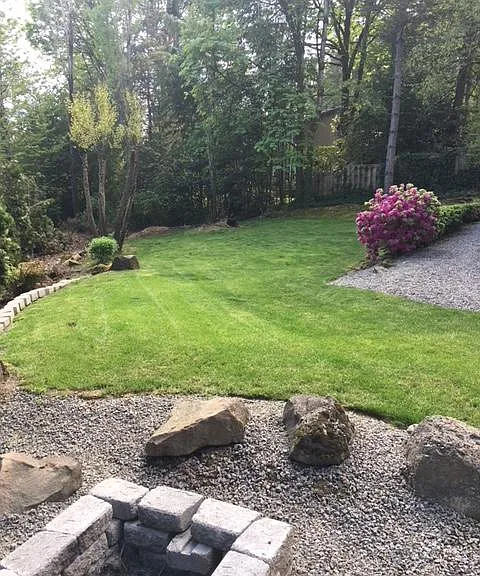 Back yard view.

(Yard is reserved for main house).
