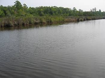 1st image of 203 Fishing Creek Ln