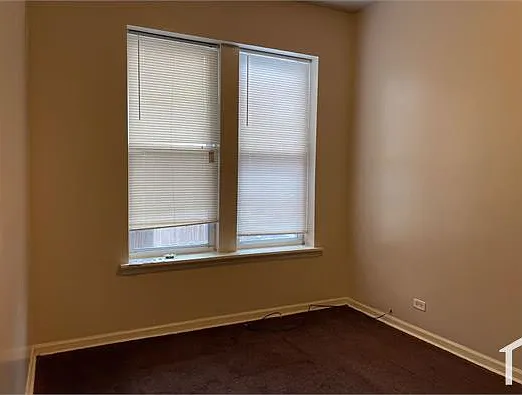 3939 W Fillmore St — Photo 16
