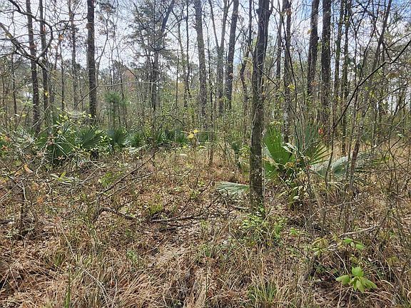 2nd image of TRACT Four Reinninger Rd #A