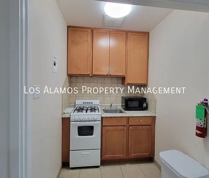 Aspen Studio Apartments 2 — Photo 20