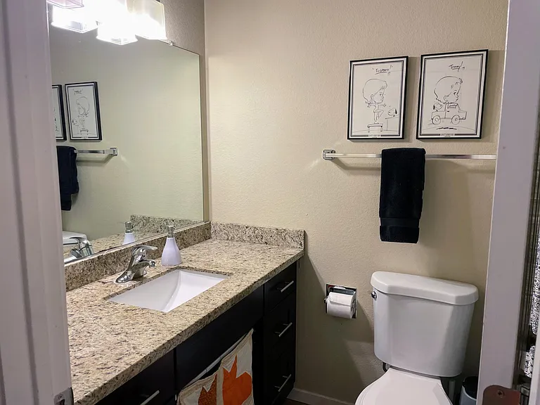 hall bath vanity