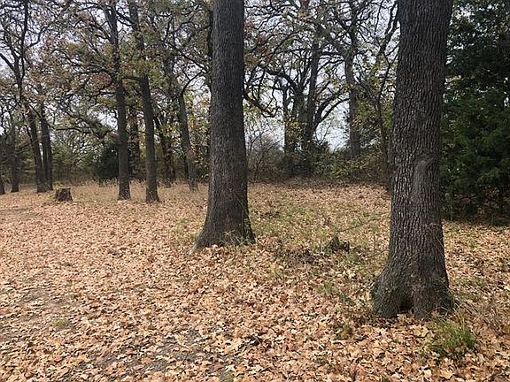 4th image of 9745 Forest Dr