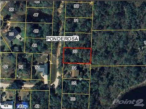 5th image of 1674 Ponderosa Dr