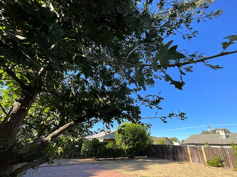 Megan Way — Photo 6