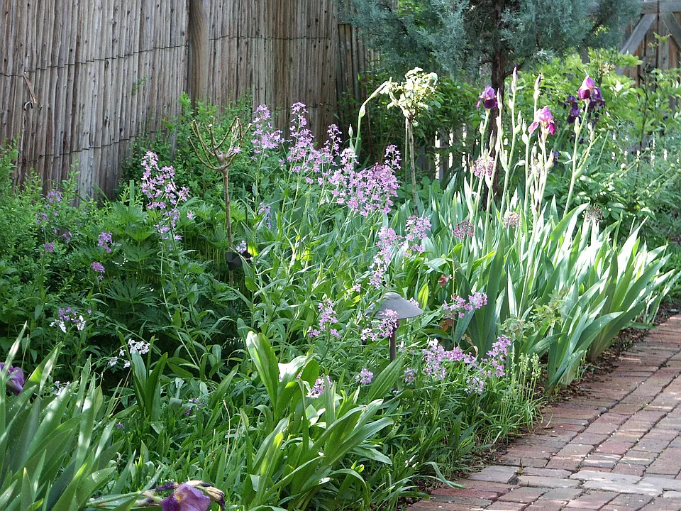 So many flowers to enjoy!