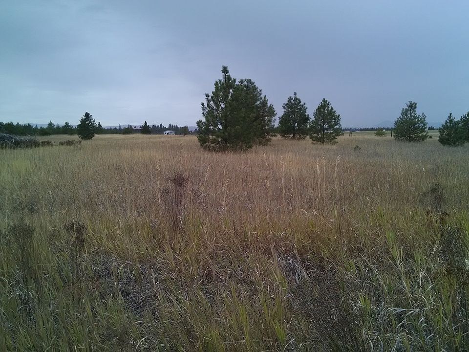 1st image of 40119 N Lionello Ln