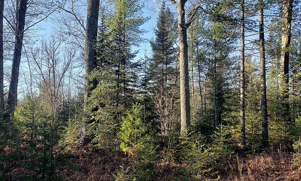 Townline Rd, Rhinelander, WI 54501 Zillow