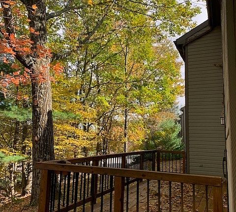 Back deck