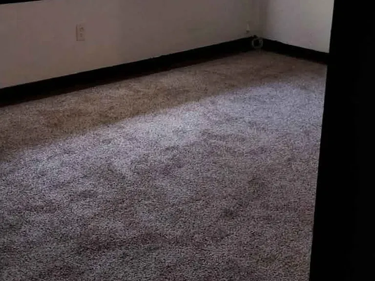 5429 Emory Dr — Photo 2