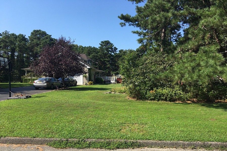 2nd image of 1401 Lincoln Blvd