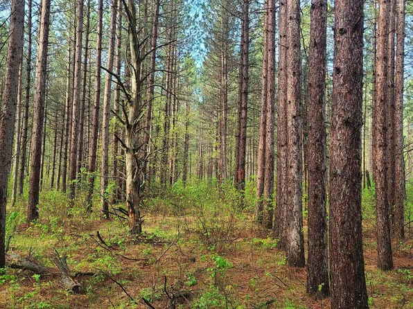 360th St, Menahga, MN 56464