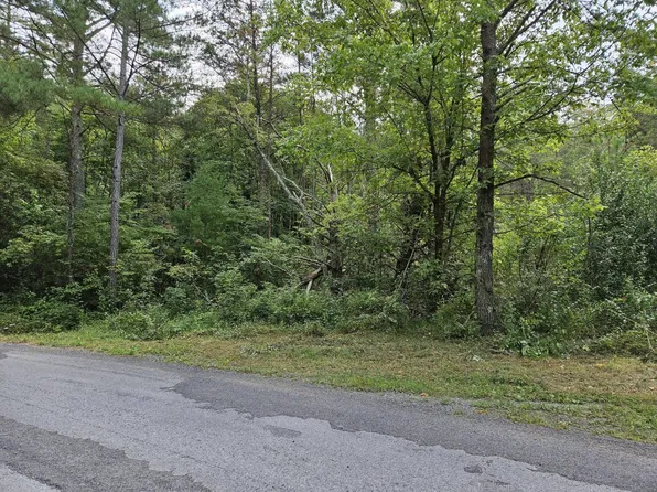 32 Belaire Dr, Copperhill, TN 37317