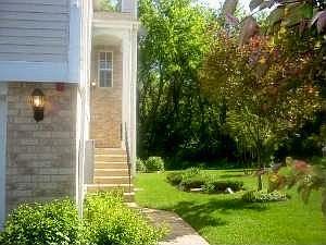 Forest Preserve Lot