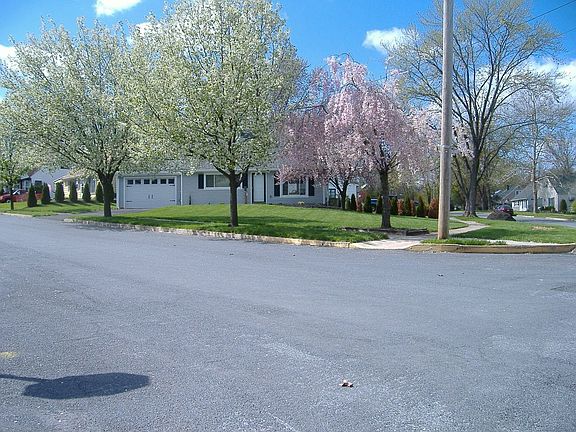 141 Catalpa Street - Spring