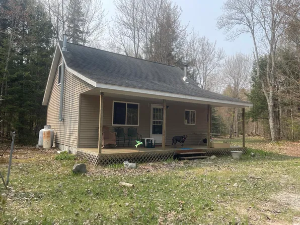 10167 S Chesbrough Lake Rd, Newberry, MI 49868