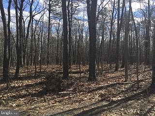 3rd image of Quail Dr