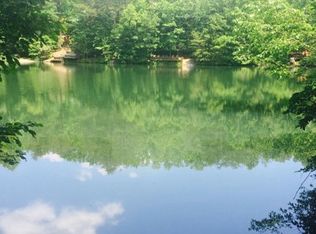 4 Cherry Lake Dr, Cherry Log, GA 30522