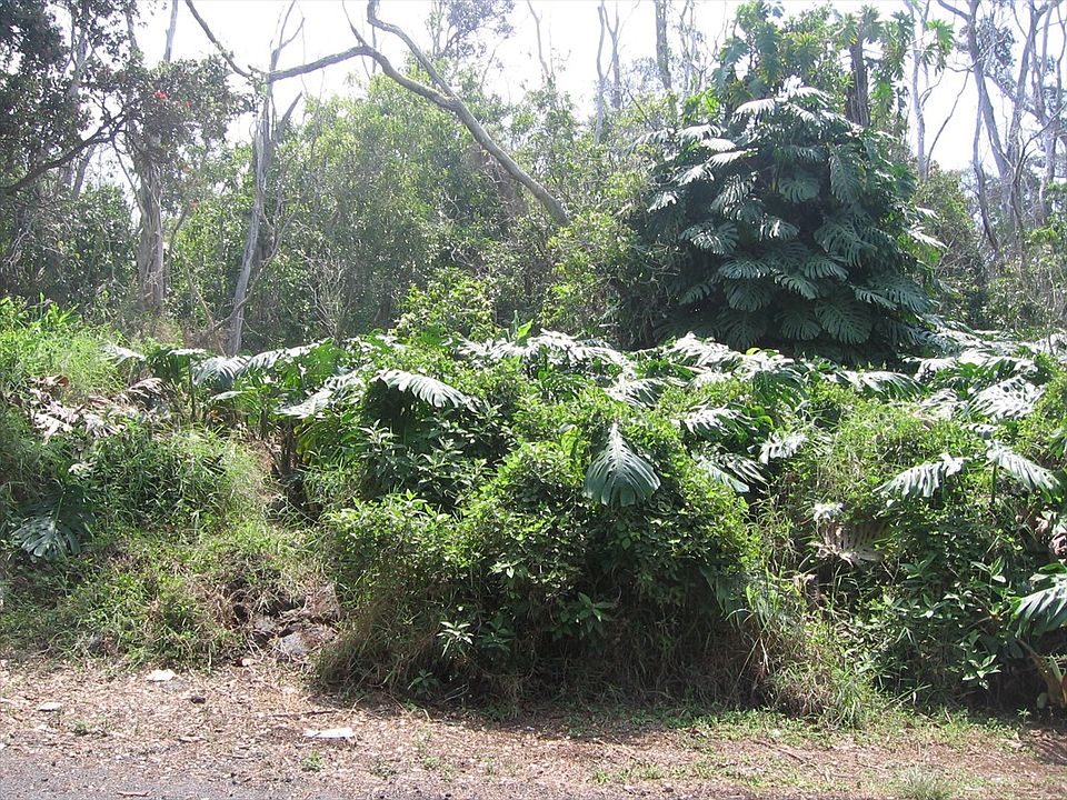 2nd image of Orchid Pkwy Lot 11