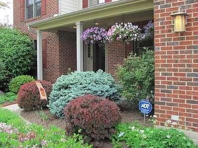 4th image of 1244 Woodland Meadows Dr