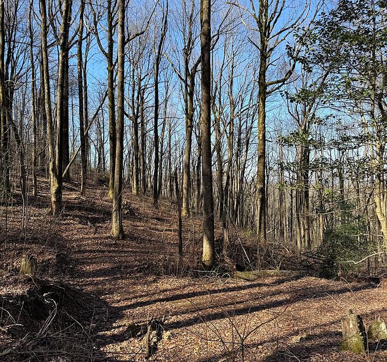 1st image of 6180 Burnt Mountain Rd