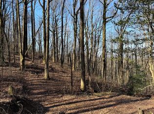 6180 Burnt Mountain Rd, Ellijay, GA 30536
