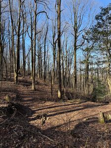 6180 Burnt Mountain Rd, Ellijay, GA, 30536