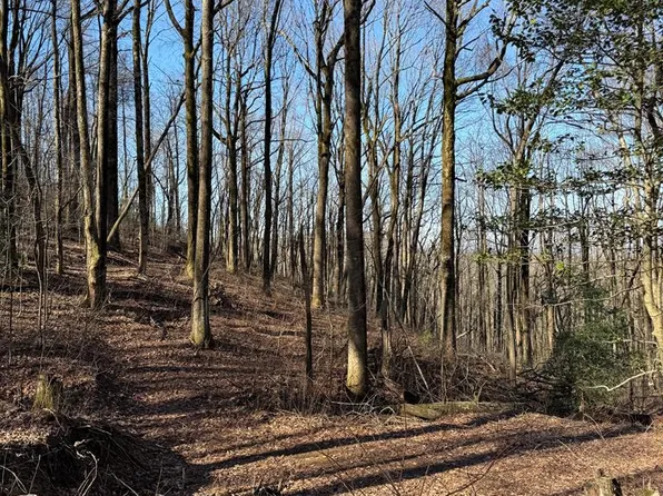 6180 Burnt Mountain Rd, Ellijay, GA 30536