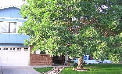 Front - Mature landscaping