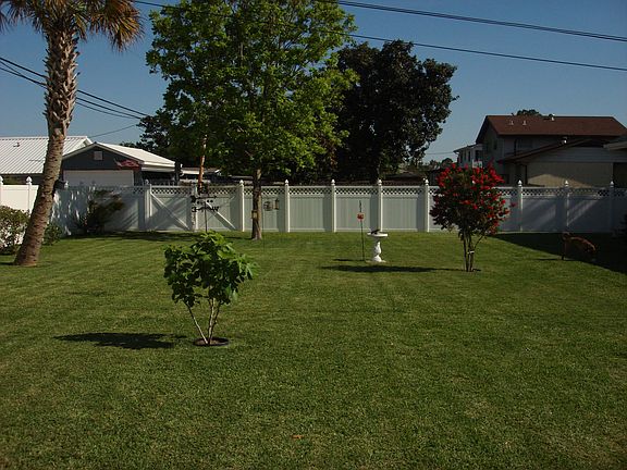 Back yard