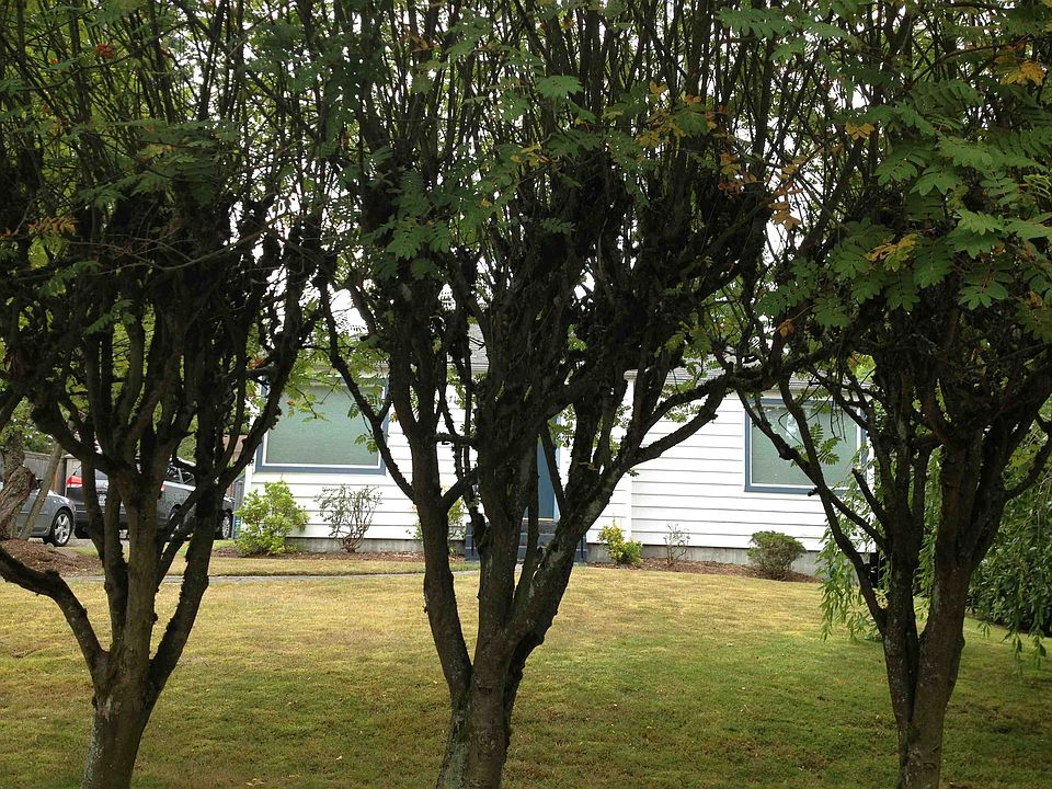 1st image of 10716 19th Ave NE