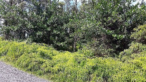 2nd image of 34th Ave Lot 83