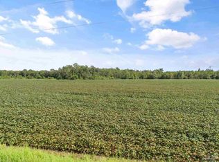 PARCEL 2 Mineral Springs Rd, Jay, FL 32565