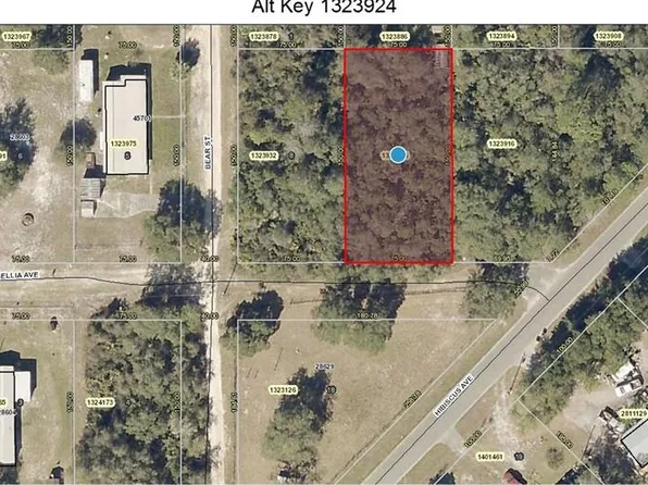7 Camellia Ave, Paisley, FL 32767