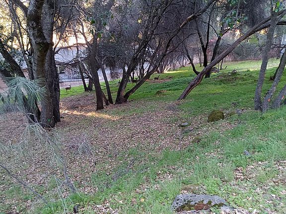 Gentle Downslope, 10764 BB Dr