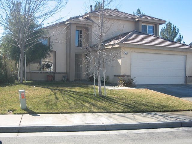 GO TO MY WEBSITE TO SEE MORE PICTURES