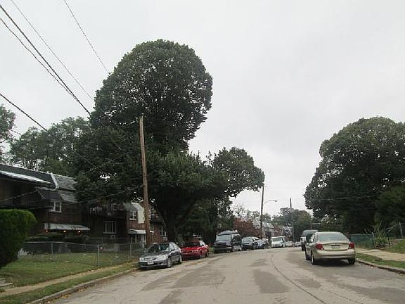 5th image of 3973 Lankenau Ave