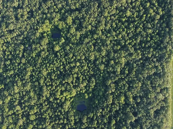 Happy Bend Rd, Atkins, AR 72823