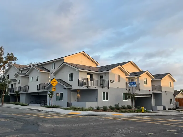 203 Willie James Jones Ave — Photo 12