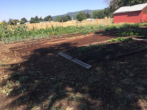 barn and garden area