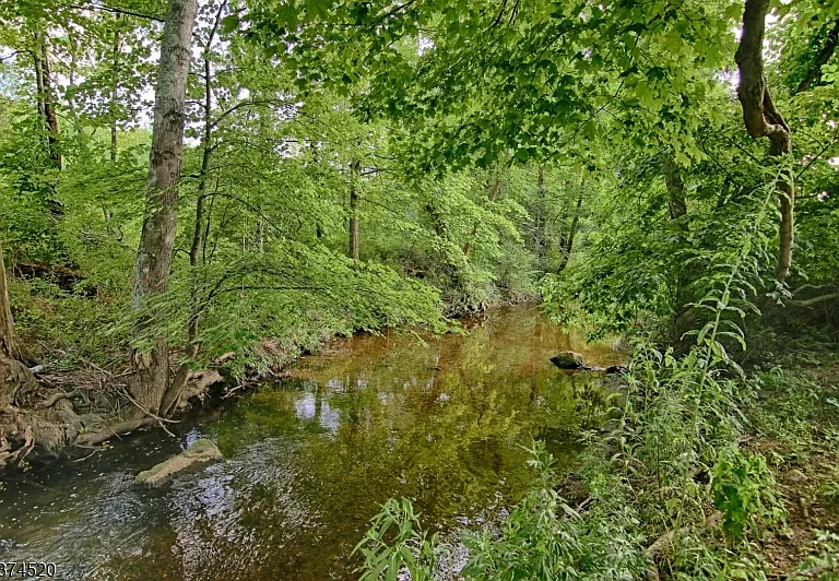 496 Mine Brook Rd — Photo 16