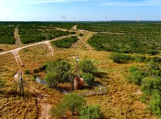 TRACT5 (47.9AC) San Pablo Rd, Bruni, TX 78344