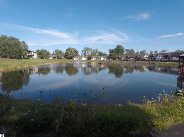 265 Wildwood Dr, Cadillac, MI 49601