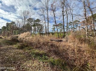 246 Charlie Rd, Arapahoe, NC 28510