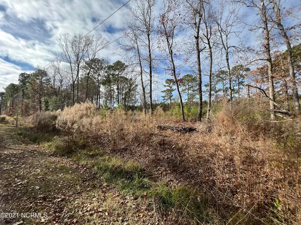 246 Charlie Road, Arapahoe, NC 28510