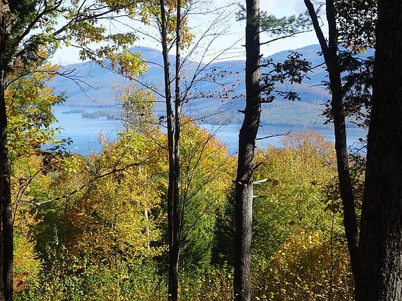 Zoomed slightly in Fall