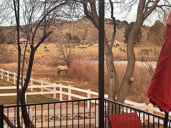 3rd image of 4339 Golf Vista Dr